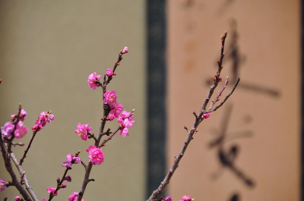 Ryokan Urashima Ономити Номер фото